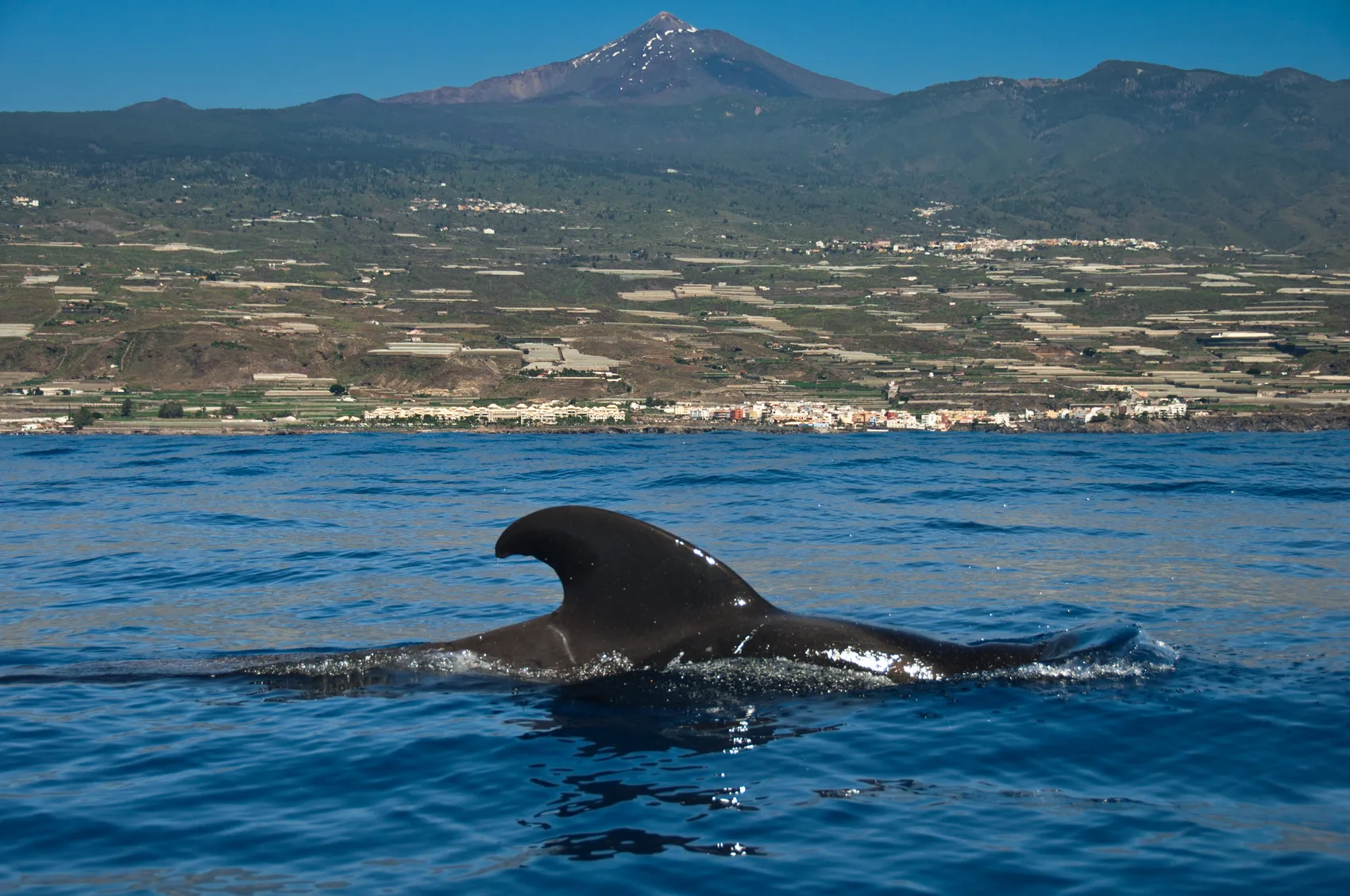 Calderón tropical emergiendo frente a la costa de Tenerife con el Teide al fondo