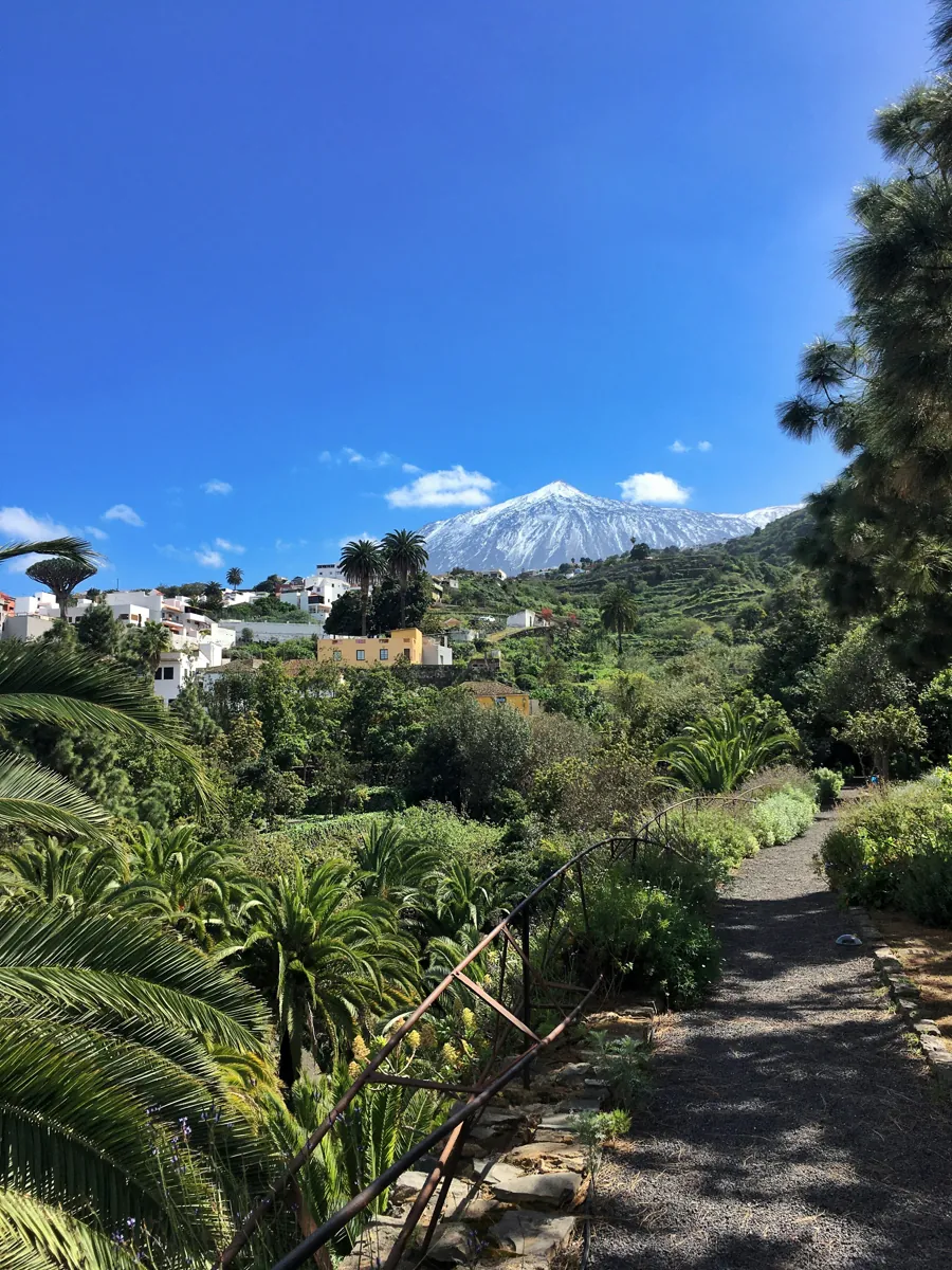 Vista del casco histórico de Icod de los Vinos