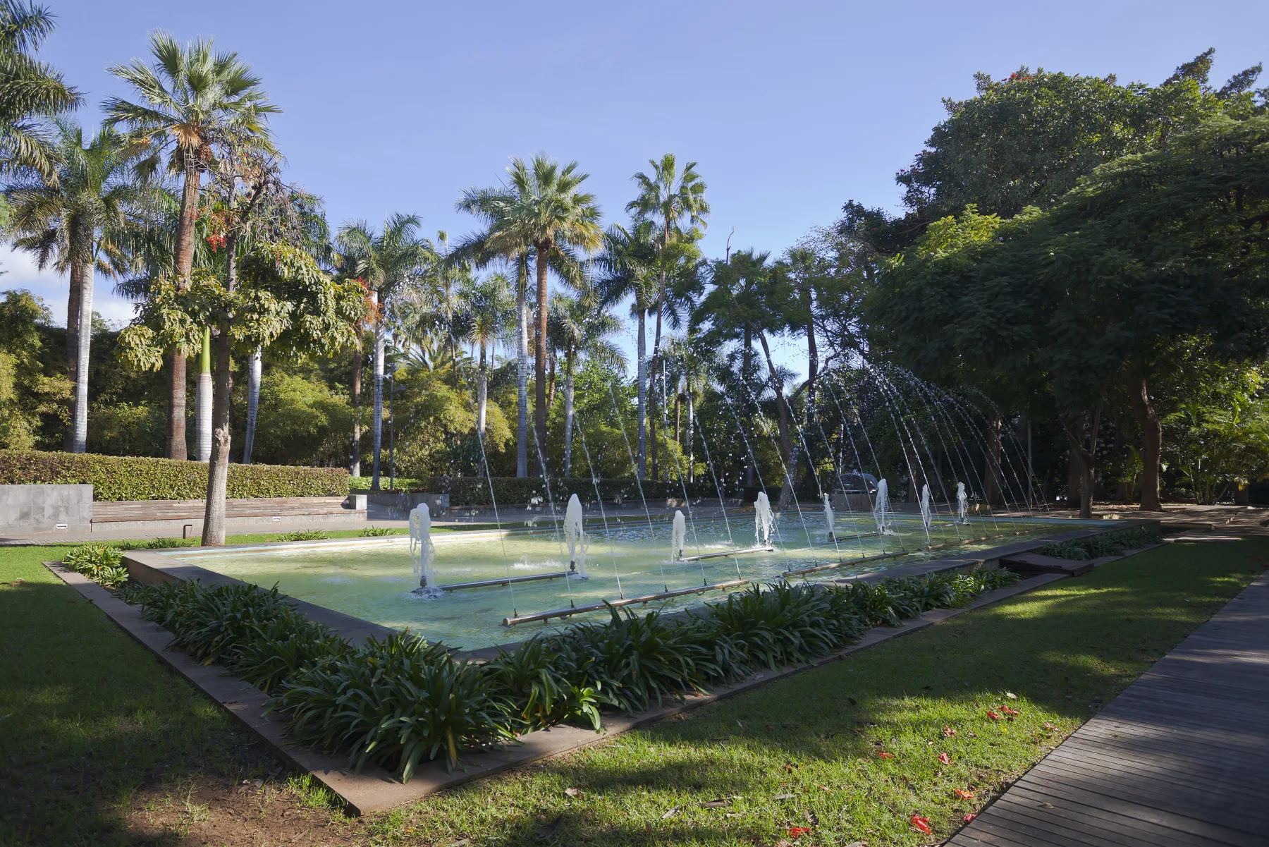 Parque García Sanabria en Santa Cruz de Tenerife