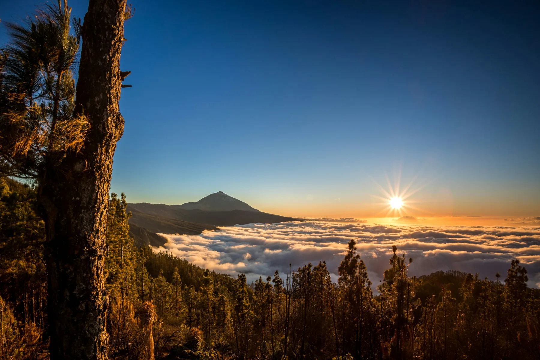 Viewpoints in Teide National Park