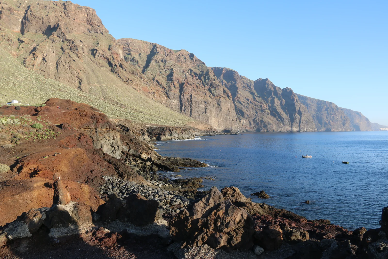 Costa del Macizo de Teno